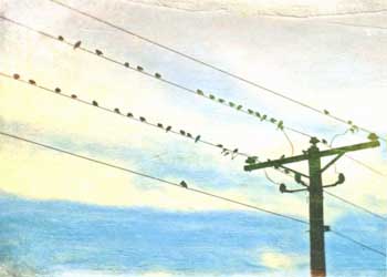 "Chorus Line" by Aileen Musa, Deerfield WI - Digital Painting- SOLD